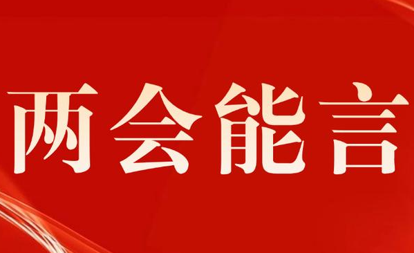 两会能言丨钱海军：推动新型储能产业高质量发展